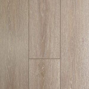 Seashell Oak