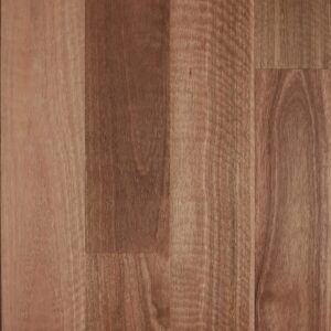 Spotted Gum