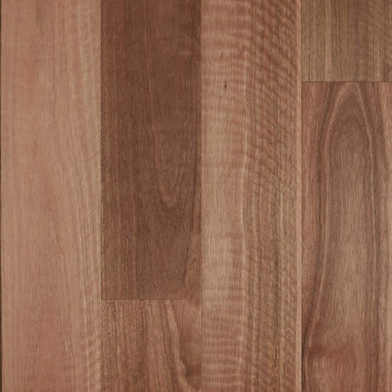 Spotted Gum