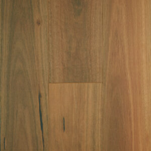 Spotted Gum