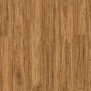 Spotted Gum