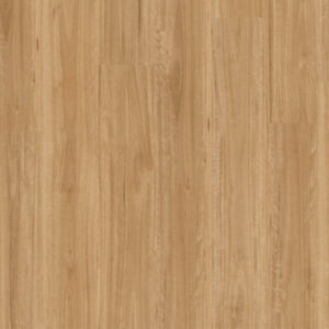 Bleached Blackbutt