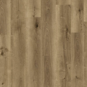 Warm Urban Oak