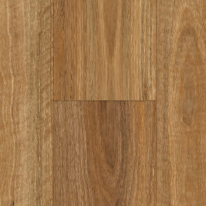 Spotted Gum
