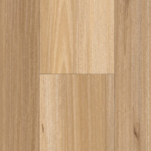 Blackbutt
