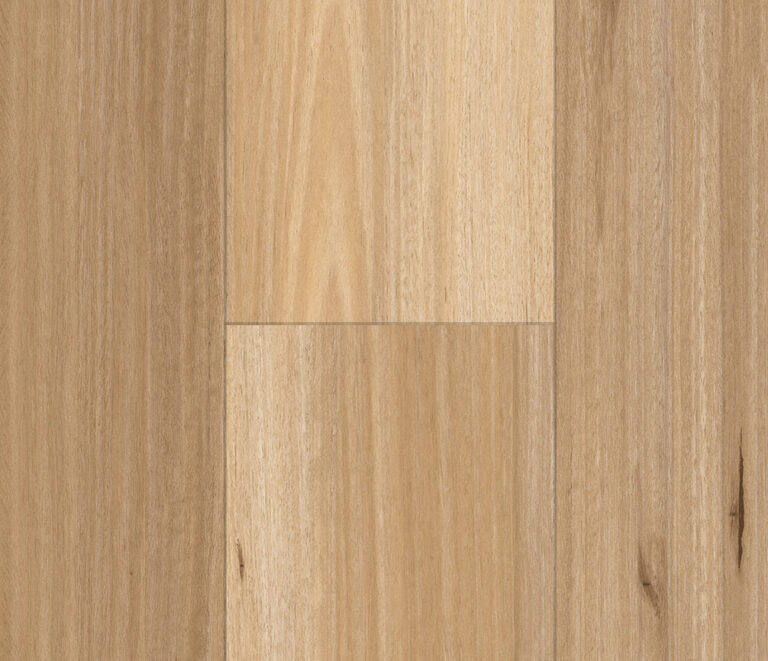 Blackbutt