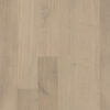 WBO3008_Topshot-800x800-1-100x100