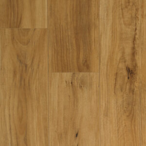 Blackbutt- Aqua