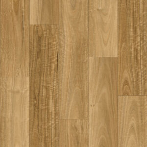 Highland Spotted Gum