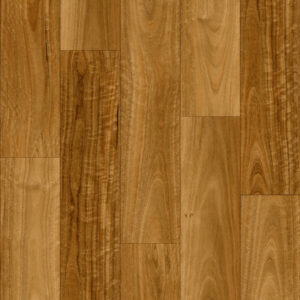 Murray River Spotted Gum