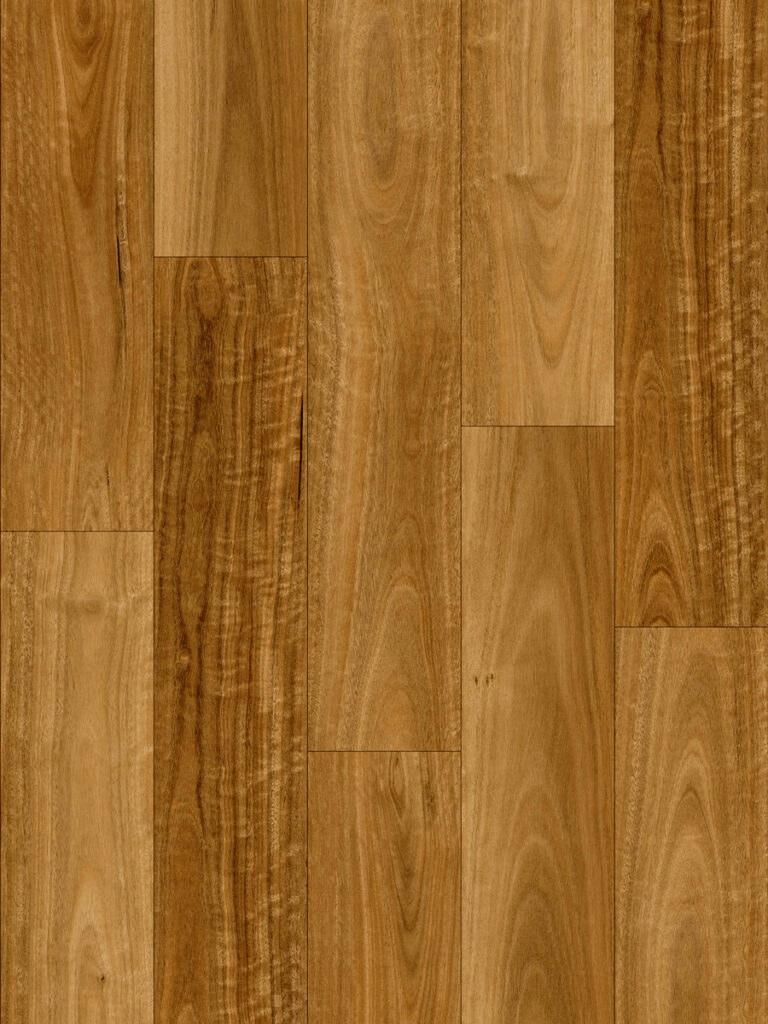 Murray River Spotted Gum