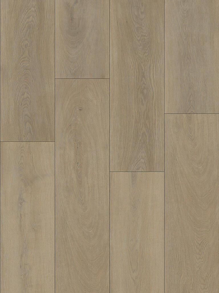 Oak Sofia