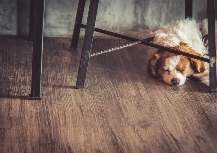 Hybrid Flooring Sunshine